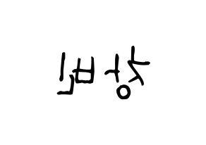 KPOP idol Stray Kids  창빈 (Seo Chang-bin, Changbin) Printable Hangul name fan sign, fanboard resources for light sticks Reversed
