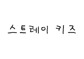 KPOP idol Stray Kids Printable Hangul fan sign & fan board resources Normal