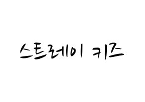 KPOP idol Stray Kids Printable Hangul fan sign, concert board resources for light sticks Normal