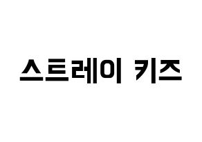 KPOP idol Stray Kids Printable Hangul fan sign & fan board resources Normal