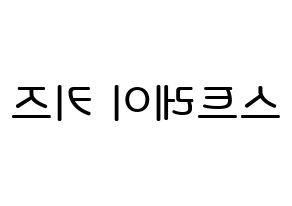 KPOP idol Stray Kids Printable Hangul Fansign Fanboard resources Reversed