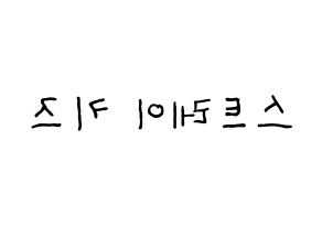 KPOP idol Stray Kids Printable Hangul fan sign & fan board resources Reversed