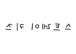 KPOP idol Stray Kids Printable Hangul fan sign, concert board resources for light sticks Reversed