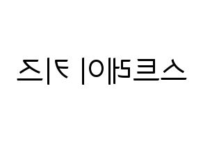 KPOP idol Stray Kids Printable Hangul fan sign, fanboard resources for light sticks Reversed