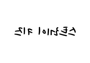 KPOP idol Stray Kids Printable Hangul fan sign, concert board resources for LED Reversed