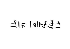 KPOP idol Stray Kids Printable Hangul fan sign, concert board resources for light sticks Reversed