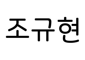 KPOP idol Super Junior-M  규현 (Cho Kyu-Hyun, Kyuhyun) Printable Hangul name Fansign Fanboard resources for concert Normal