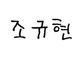 KPOP idol Super Junior-M  규현 (Cho Kyu-Hyun, Kyuhyun) Printable Hangul name fan sign, fanboard resources for concert Normal