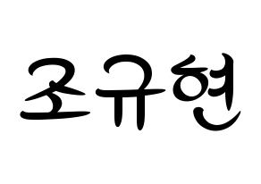KPOP idol Super Junior-M  규현 (Cho Kyu-Hyun, Kyuhyun) Printable Hangul name fan sign, fanboard resources for concert Normal