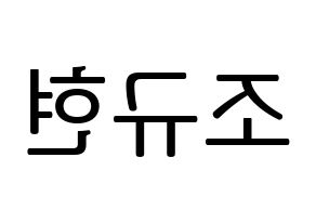 KPOP idol Super Junior-M  규현 (Cho Kyu-Hyun, Kyuhyun) Printable Hangul name fan sign, fanboard resources for LED Reversed