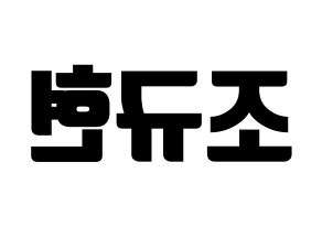 KPOP idol Super Junior-M  규현 (Cho Kyu-Hyun, Kyuhyun) Printable Hangul name fan sign, fanboard resources for light sticks Reversed