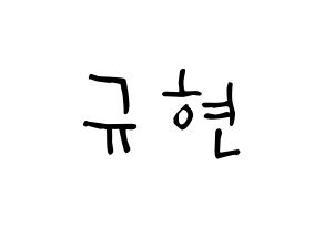 KPOP idol Super Junior-M  규현 (Cho Kyu-Hyun, Kyuhyun) Printable Hangul name Fansign Fanboard resources for concert Normal