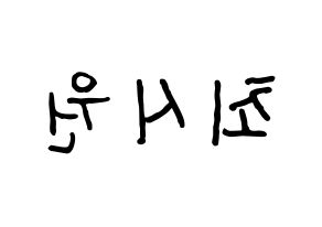 KPOP idol Super Junior-M  시원 (Choi Si-Won, Siwon) Printable Hangul name fan sign, fanboard resources for concert Reversed
