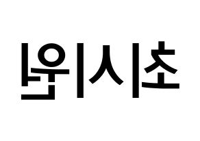 KPOP idol Super Junior-M  시원 (Choi Si-Won, Siwon) Printable Hangul name Fansign Fanboard resources for concert Reversed