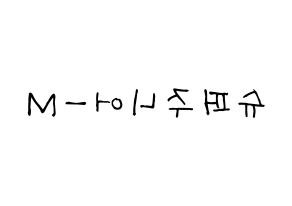 KPOP idol Super Junior-M Printable Hangul Fansign concert board resources Reversed