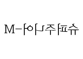 KPOP idol Super Junior-M Printable Hangul fan sign & concert board resources Reversed