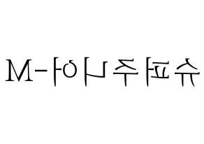 KPOP idol Super Junior-M Printable Hangul fan sign & concert board resources Reversed