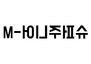 KPOP idol Super Junior-M Printable Hangul Fansign concert board resources Reversed