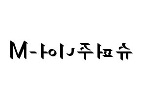 KPOP idol Super Junior-M Printable Hangul fan sign, concert board resources for LED Reversed