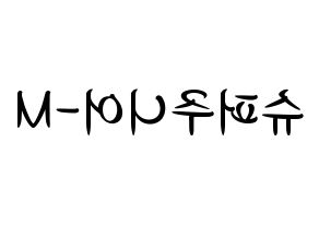 KPOP idol Super Junior-M Printable Hangul fan sign, concert board resources for light sticks Reversed