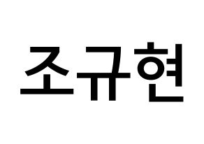 KPOP idol Super Junior  규현 (Cho Kyu-Hyun, Kyuhyun) Printable Hangul name Fansign Fanboard resources for concert Normal