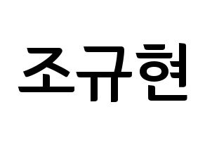 KPOP idol Super Junior  규현 (Cho Kyu-Hyun, Kyuhyun) Printable Hangul name fan sign, fanboard resources for concert Normal