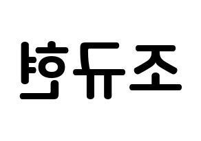 KPOP idol Super Junior  규현 (Cho Kyu-Hyun, Kyuhyun) Printable Hangul name fan sign, fanboard resources for concert Reversed