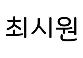 KPOP idol Super Junior  시원 (Choi Si-Won, Siwon) Printable Hangul name Fansign Fanboard resources for concert Normal