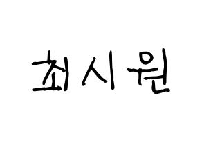 KPOP idol Super Junior  시원 (Choi Si-Won, Siwon) Printable Hangul name fan sign, fanboard resources for light sticks Normal