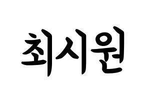KPOP idol Super Junior  시원 (Choi Si-Won, Siwon) Printable Hangul name fan sign, fanboard resources for concert Normal