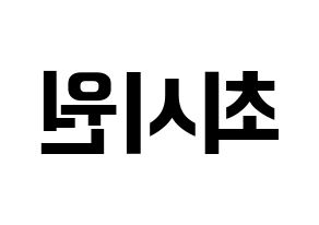 KPOP idol Super Junior  시원 (Choi Si-Won, Siwon) Printable Hangul name fan sign, fanboard resources for concert Reversed