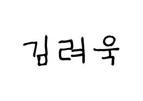 KPOP idol Super Junior  려욱 (Kim Ryeo-Wook, Ryeowook) Printable Hangul name fan sign, fanboard resources for light sticks Normal