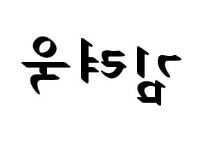 KPOP idol Super Junior  려욱 (Kim Ryeo-Wook, Ryeowook) Printable Hangul name fan sign, fanboard resources for LED Reversed