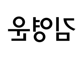 KPOP idol Super Junior  강인 (Kim Young-Woon, Kangin) Printable Hangul name Fansign Fanboard resources for concert Reversed