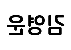 KPOP idol Super Junior  강인 (Kim Young-Woon, Kangin) Printable Hangul name fan sign, fanboard resources for concert Reversed
