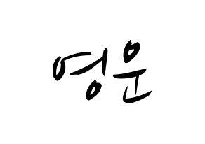 KPOP idol Super Junior  강인 (Kim Young-Woon, Kangin) Printable Hangul name fan sign, fanboard resources for concert Normal