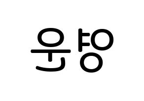 KPOP idol Super Junior  강인 (Kim Young-Woon, Kangin) Printable Hangul name Fansign Fanboard resources for concert Reversed