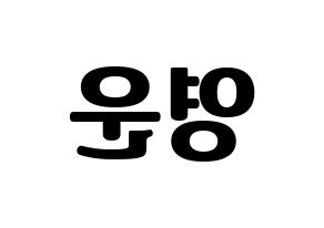 KPOP idol Super Junior  강인 (Kim Young-Woon, Kangin) Printable Hangul name fan sign, fanboard resources for light sticks Reversed