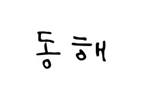 KPOP idol Super Junior  동해 (Lee Dong-Hae, Donghae) Printable Hangul name fan sign, fanboard resources for LED Normal