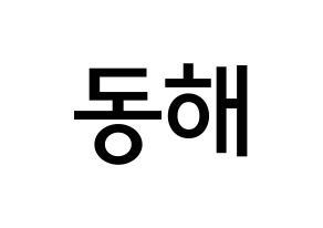 KPOP idol Super Junior  동해 (Lee Dong-Hae, Donghae) Printable Hangul name Fansign Fanboard resources for concert Normal