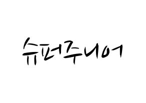 KPOP idol Super Junior Printable Hangul fan sign, concert board resources for light sticks Normal