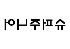 KPOP idol Super Junior Printable Hangul fan sign & concert board resources Reversed