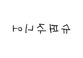 KPOP idol Super Junior Printable Hangul Fansign concert board resources Reversed