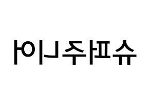 KPOP idol Super Junior Printable Hangul Fansign Fanboard resources Reversed