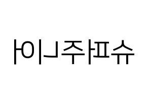 KPOP idol Super Junior Printable Hangul fan sign, fanboard resources for LED Reversed