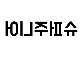 KPOP idol Super Junior Printable Hangul Fansign concert board resources Reversed