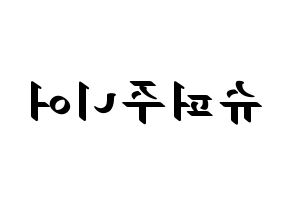 KPOP idol Super Junior Printable Hangul fan sign, concert board resources for LED Reversed