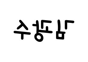 KPOP idol Supernova  광수 (Kim Kwang-soo, KwangSoo) Printable Hangul name fan sign, fanboard resources for light sticks Reversed