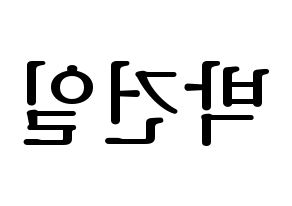 KPOP idol Supernova  건일 (Park Geon-il, Geonil) Printable Hangul name fan sign, fanboard resources for LED Reversed