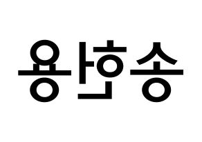 KPOP idol Supernova  지혁 (Song Hun-yong, JiHyuk) Printable Hangul name Fansign Fanboard resources for concert Reversed